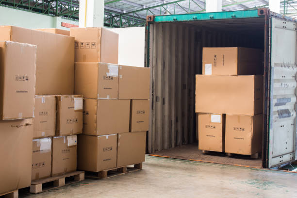 Amazon FBA Wholesale Categories: 2025 Direct Supplier's Profit Guide 2 amazon fba wholesale categories